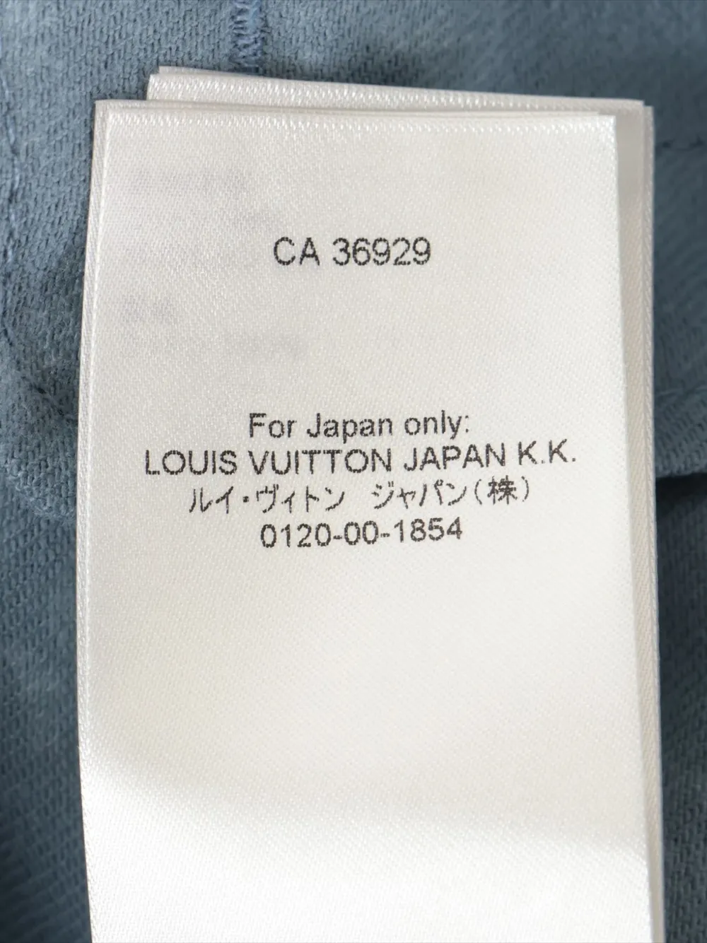 Pre-owned Louis Vuitton 2022 Leaf-print Jacket In Blue