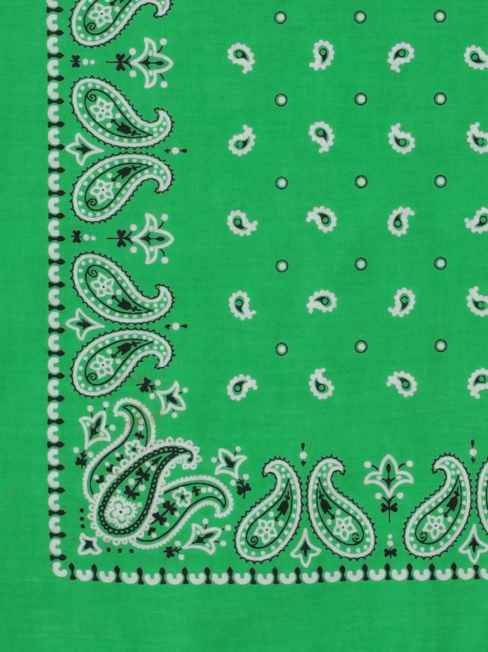 Polo Ralph Lauren Paisley Bandana In Green