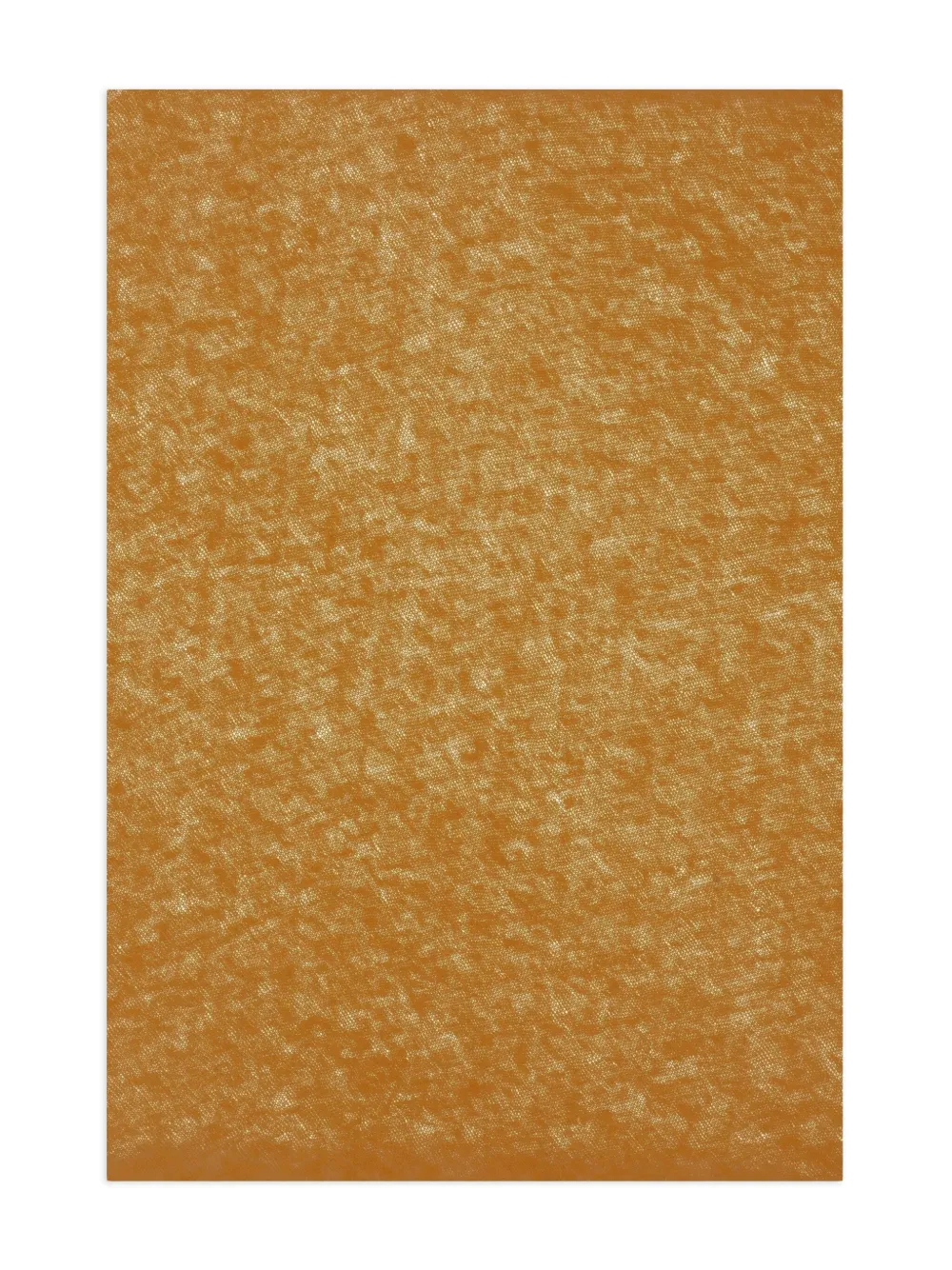 Botto Giuseppe Cashmere Scarf In Brown