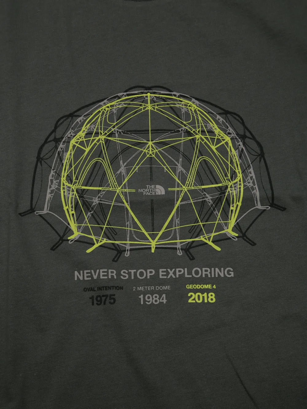 The North Face Kids T-shirt met grafische print Grijs