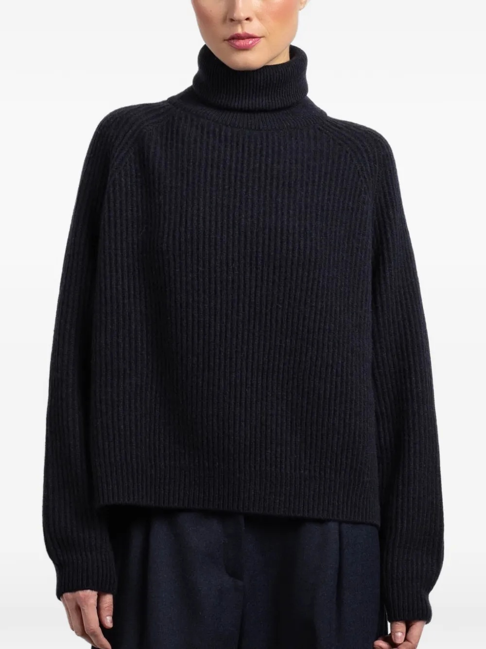 Dušan Roll-neck Ribbed Sweater In Multi
