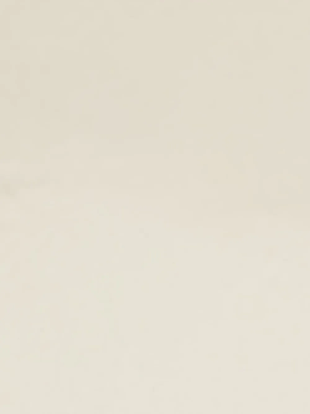 Stella McCartney Sandalen met plateauzool Beige