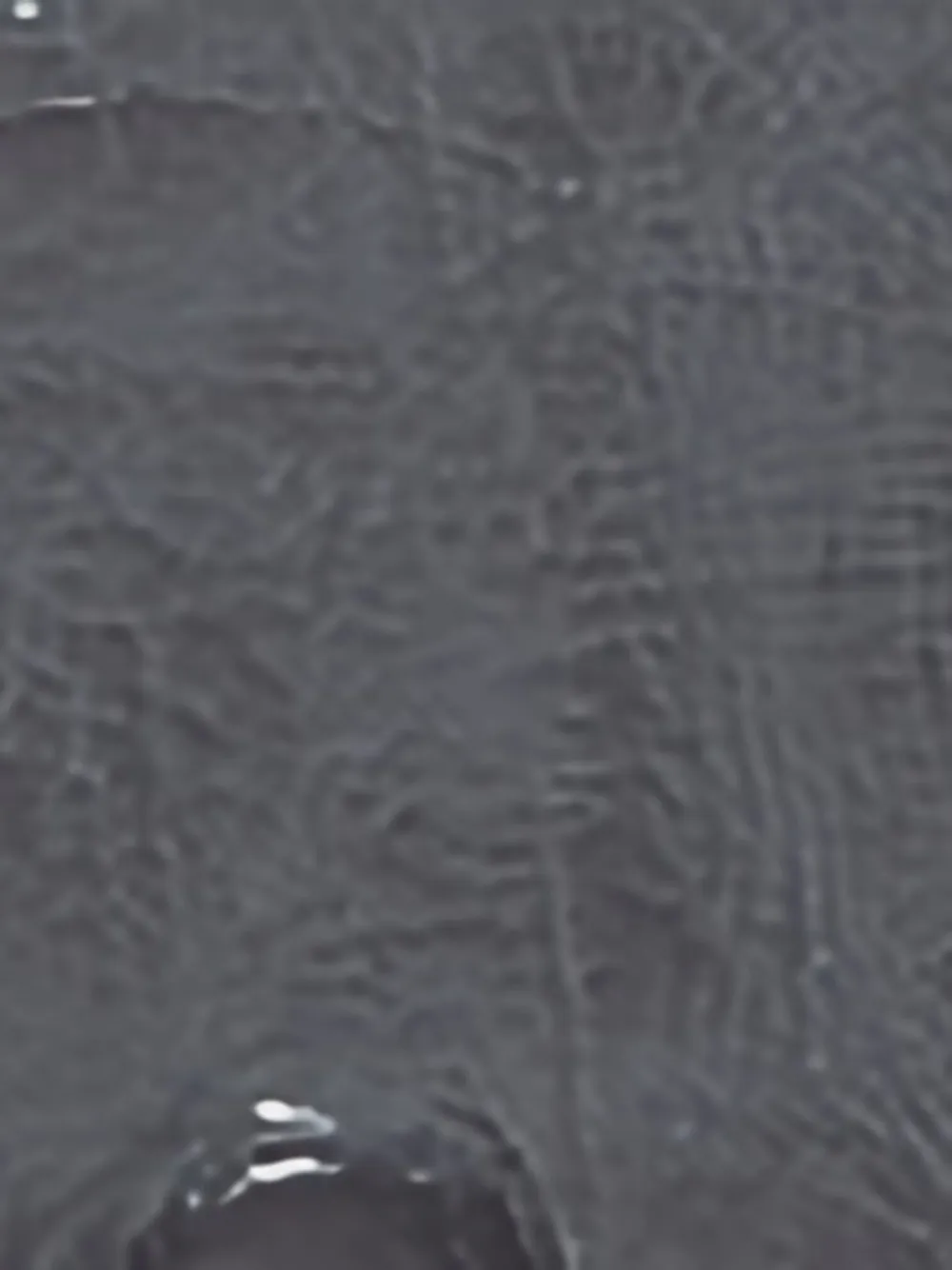 Stella McCartney Sneakers met plateauzool Grijs