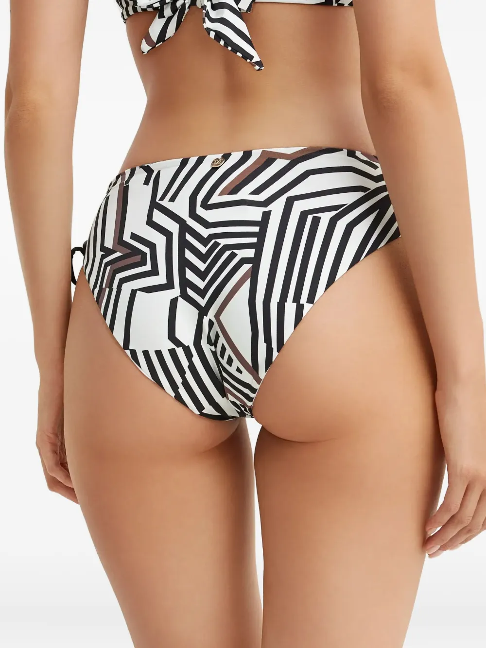 Max Mara Sibilla Printed Bikini Bottoms In Multi