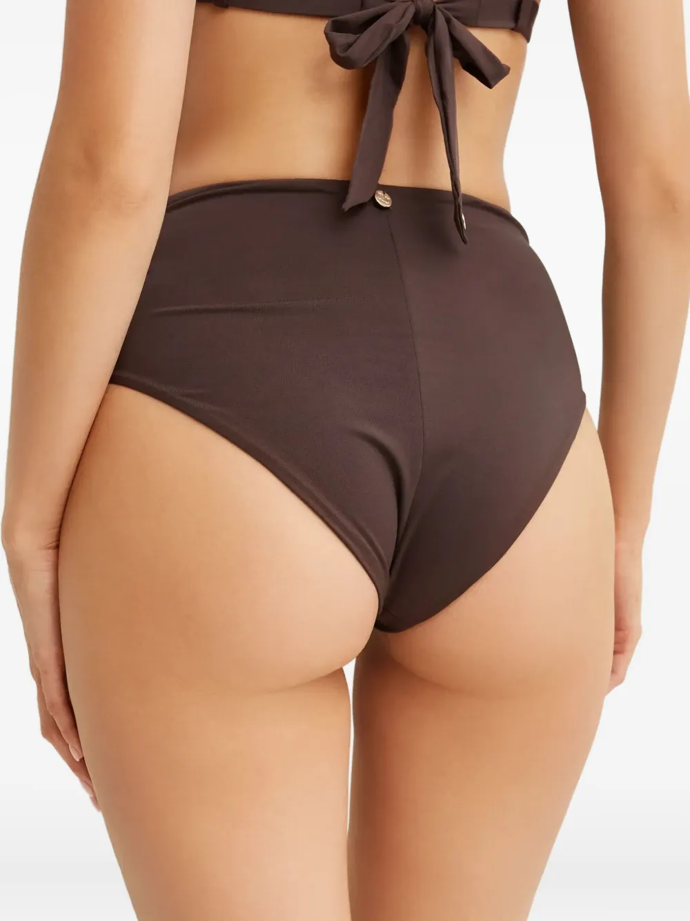 Max Mara Sabina High-rise Bikini Briefs In Brown