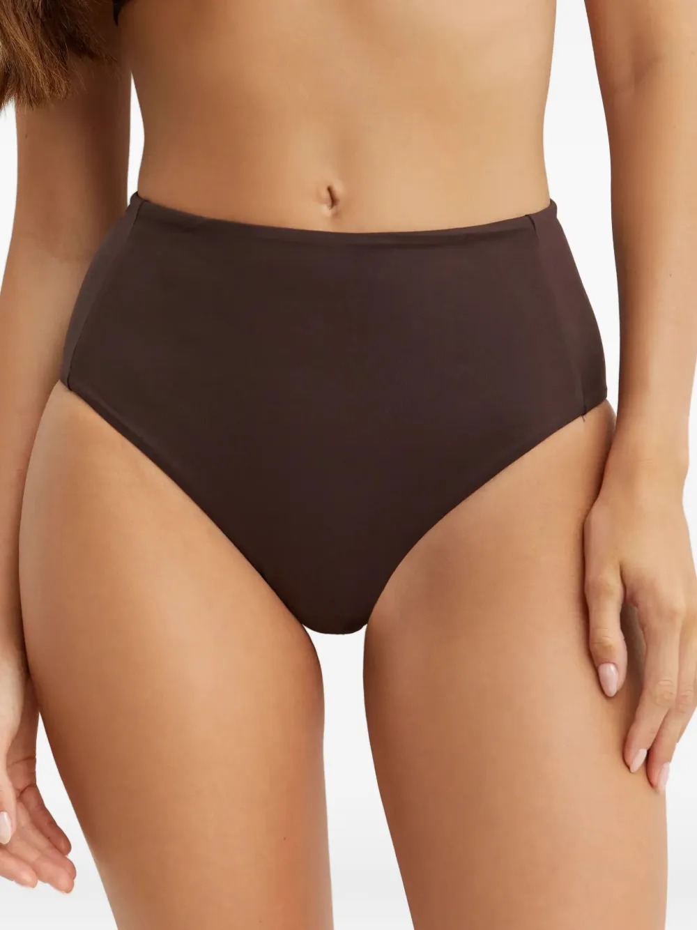 Max Mara Sabina High-rise Bikini Briefs In Brown