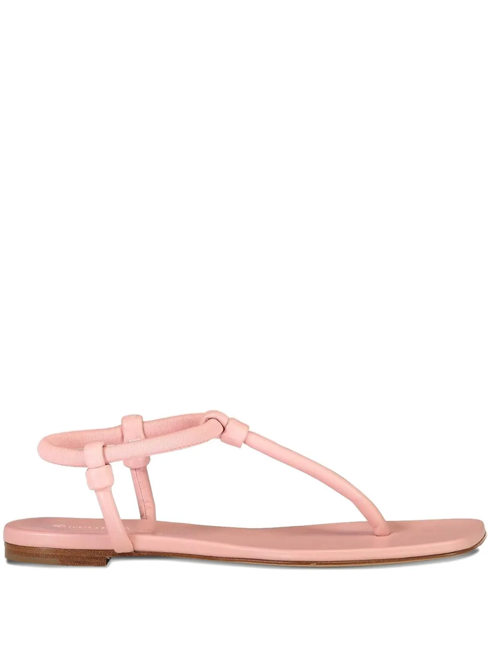 Gianvito Rossi Juno Thong 05 Flat Sandals In Pink