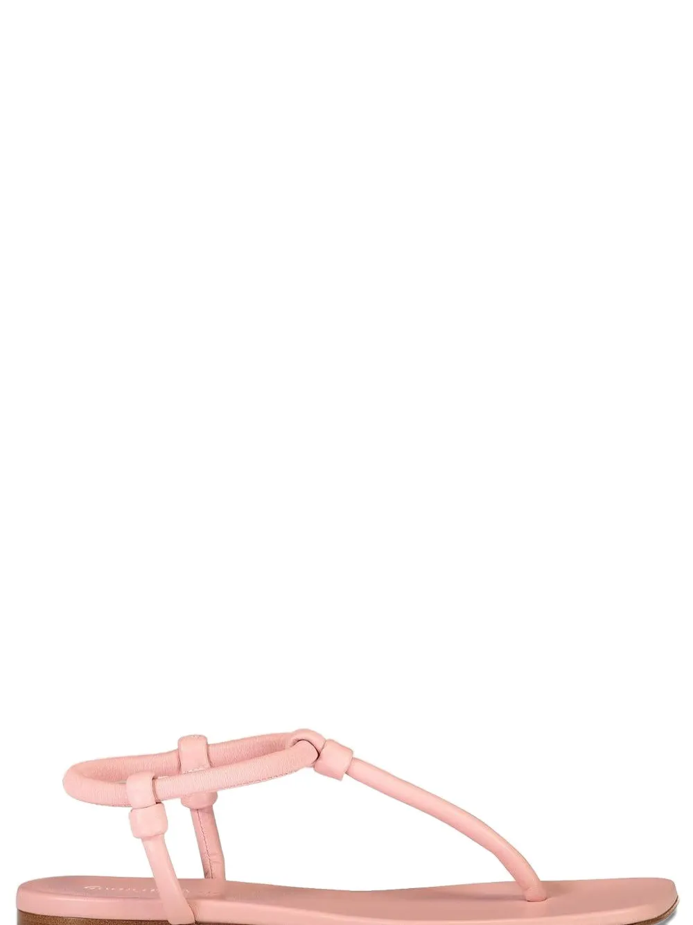 Gianvito Rossi Juno Thong 05 Flat Sandals In Pink
