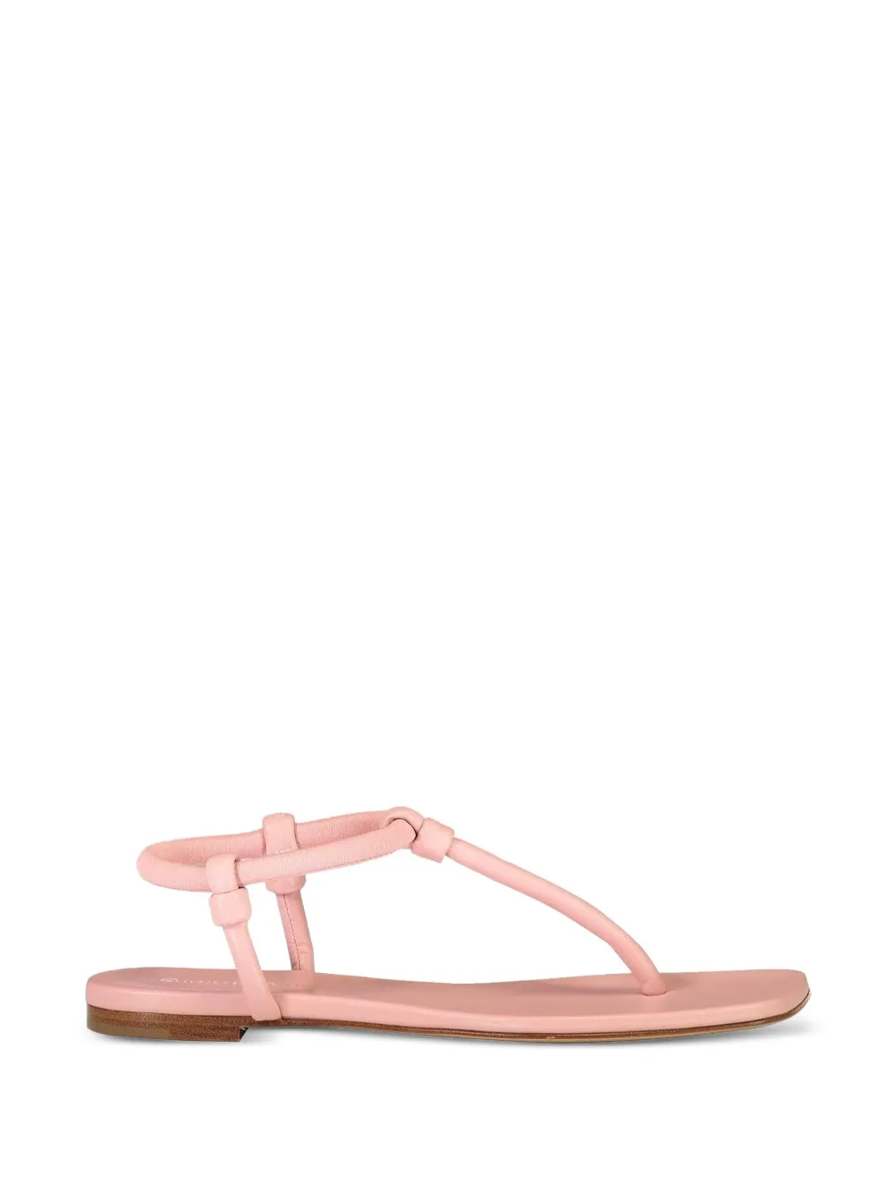 Gianvito Rossi Juno Thong 05 sandalen Roze