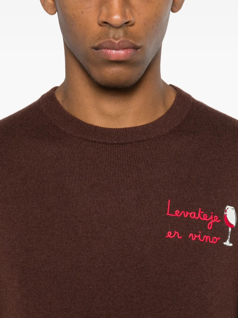 Mc2 Saint Barth Heron Embroidery Crew-neck Sweater In Brown