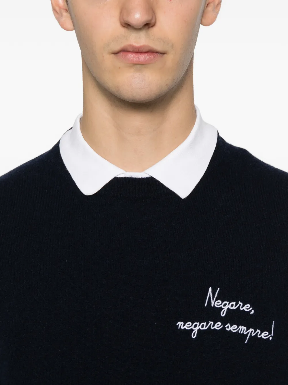 MC2 Saint Barth Heron crew neck embroidered-detail sweater Blauw