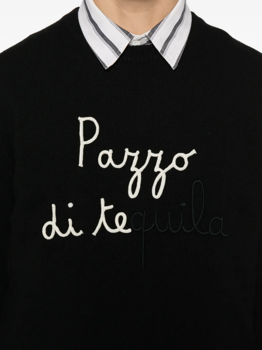 MC2 Saint Barth Heron embroidered sweater Zwart