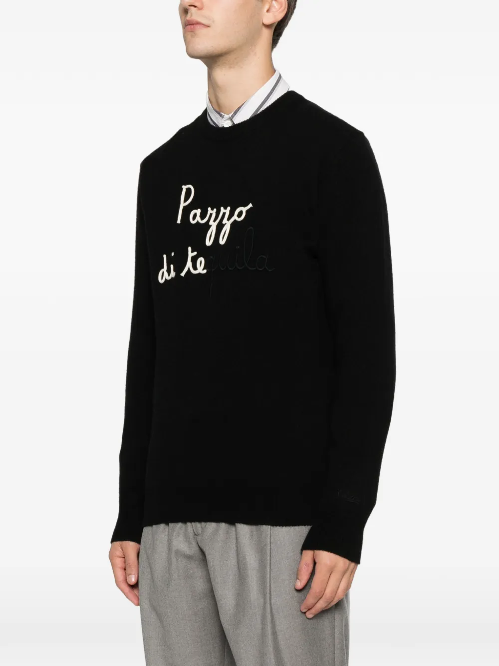 MC2 Saint Barth Heron embroidered sweater Zwart