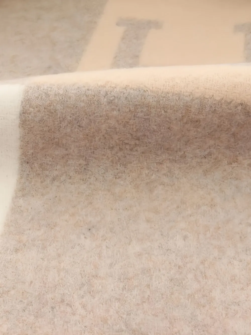 Hermès Pre-Owned Avalon III throw blanket | Herren | Image 2