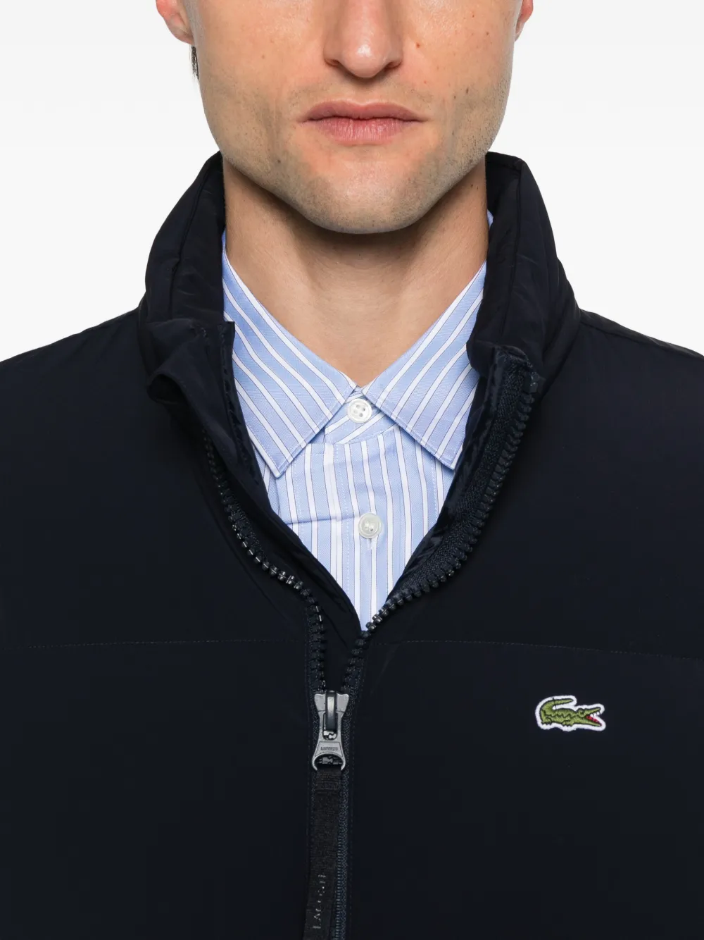 Lacoste Gewatteerd jack met rits Blauw