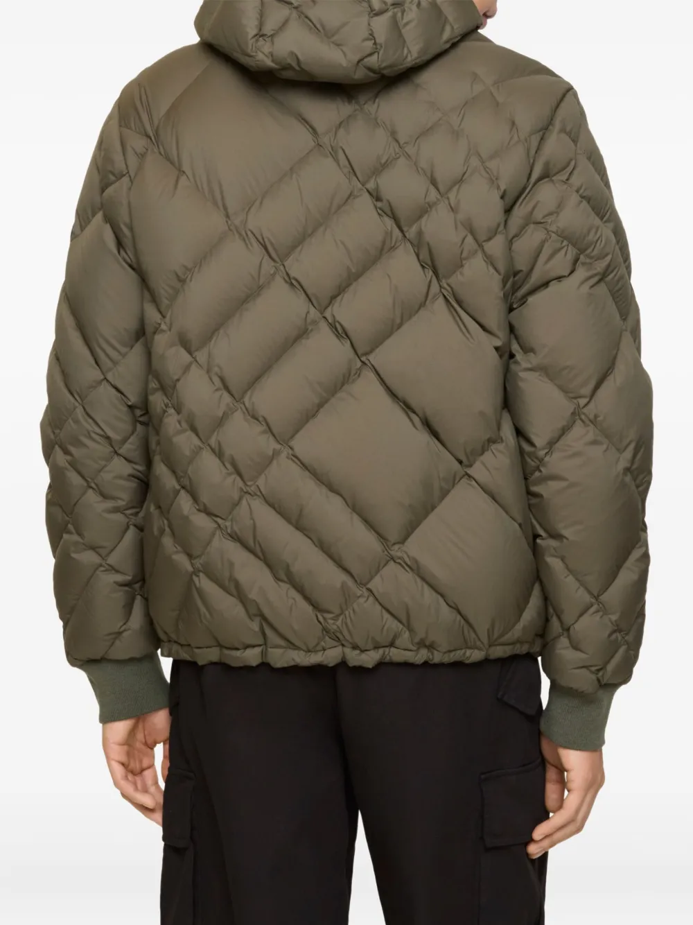 Burberry Gevoerd jack met capuchon Groen