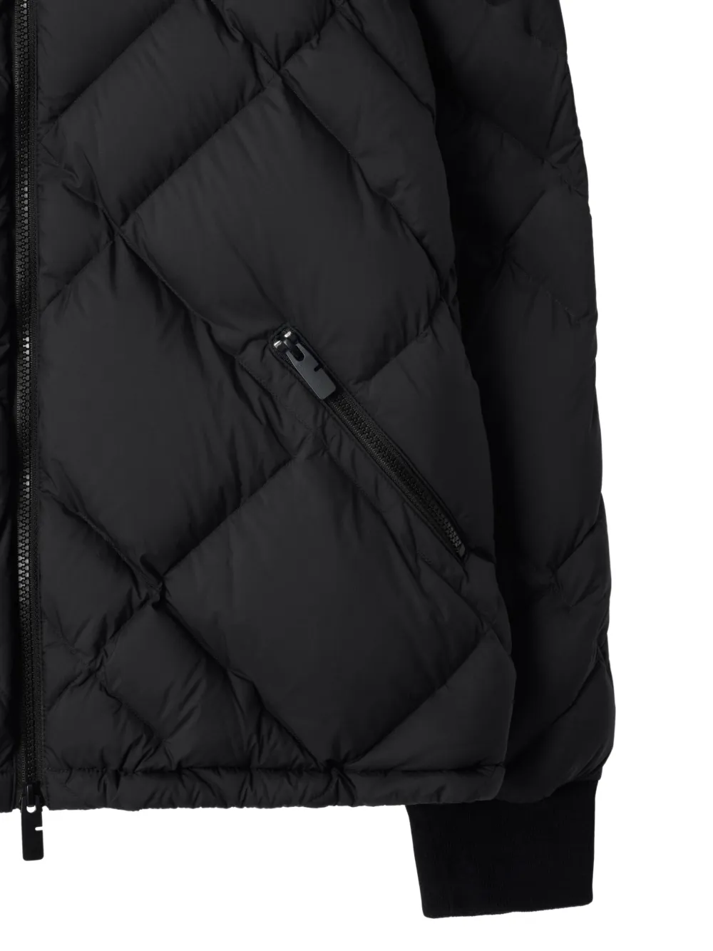 Burberry Gevoerd jack met capuchon Zwart