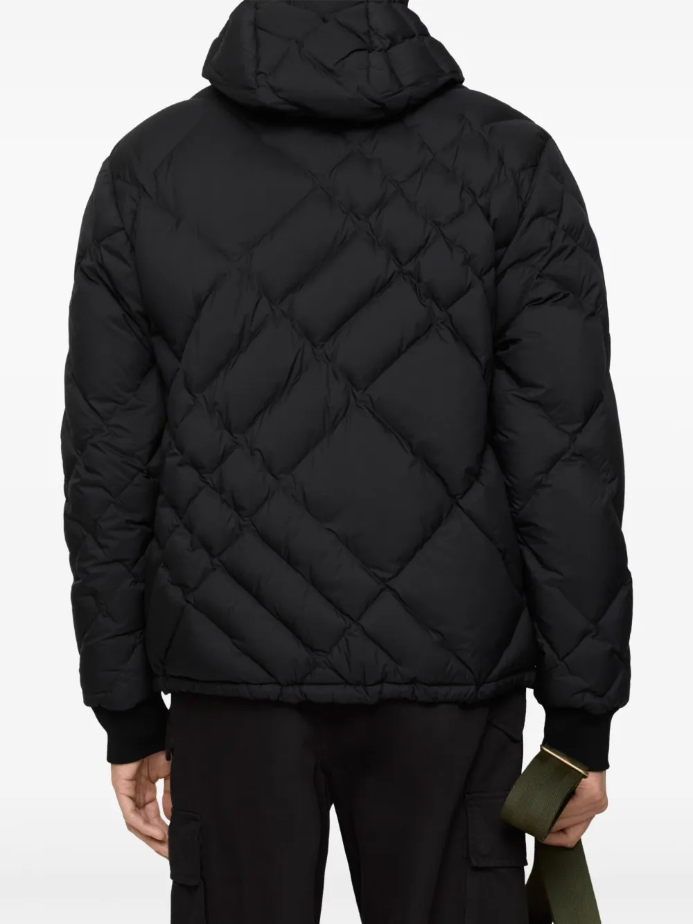 Burberry Gevoerd jack met capuchon Zwart