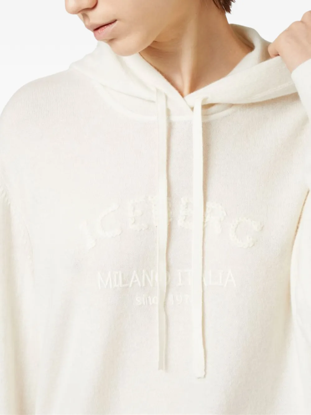  Iceberg Logo Hooded Sweatshirt - Neutrals 