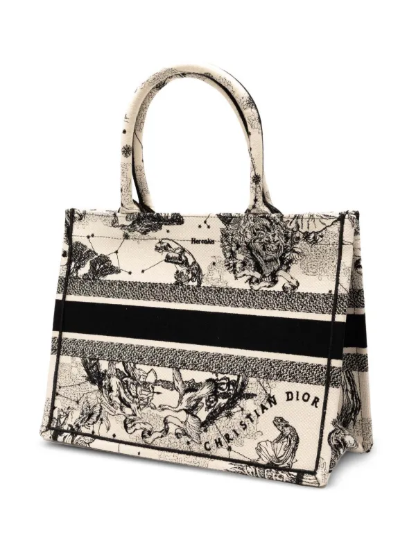 Christian Dior Pre-Owned 2023 ミディアム キャンバス エンブロイ