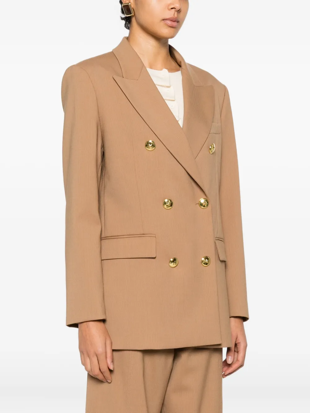 Pinko New Guinea Double-breasted Button-up Blazer In Brown