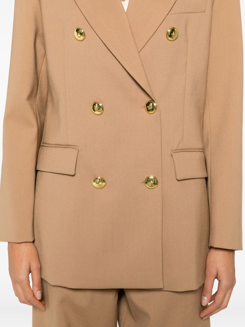 Pinko New Guinea Double-breasted Button-up Blazer In Brown