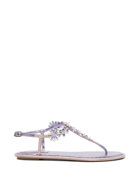 René Caovilla Diana sandals