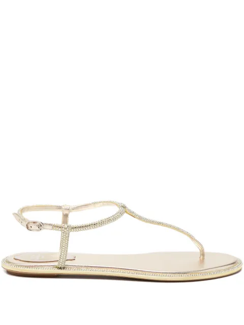 René Caovilla Diana flat sandals
