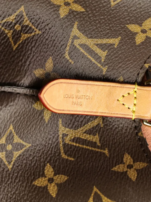 Louis Vuitton Pre-Owned Braided Handle NeoNoe Handbag Monogram