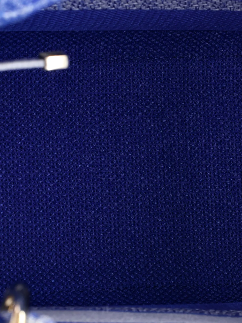 Pre-owned Dior Lady D-lite Embroidered-canvas Tote Bag In Blue