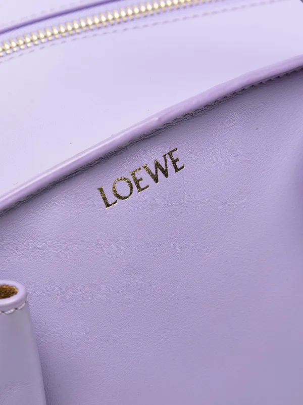 Loewe Pre-Owned 2010-2025 スモール シャイニー カーフスキン パセオ