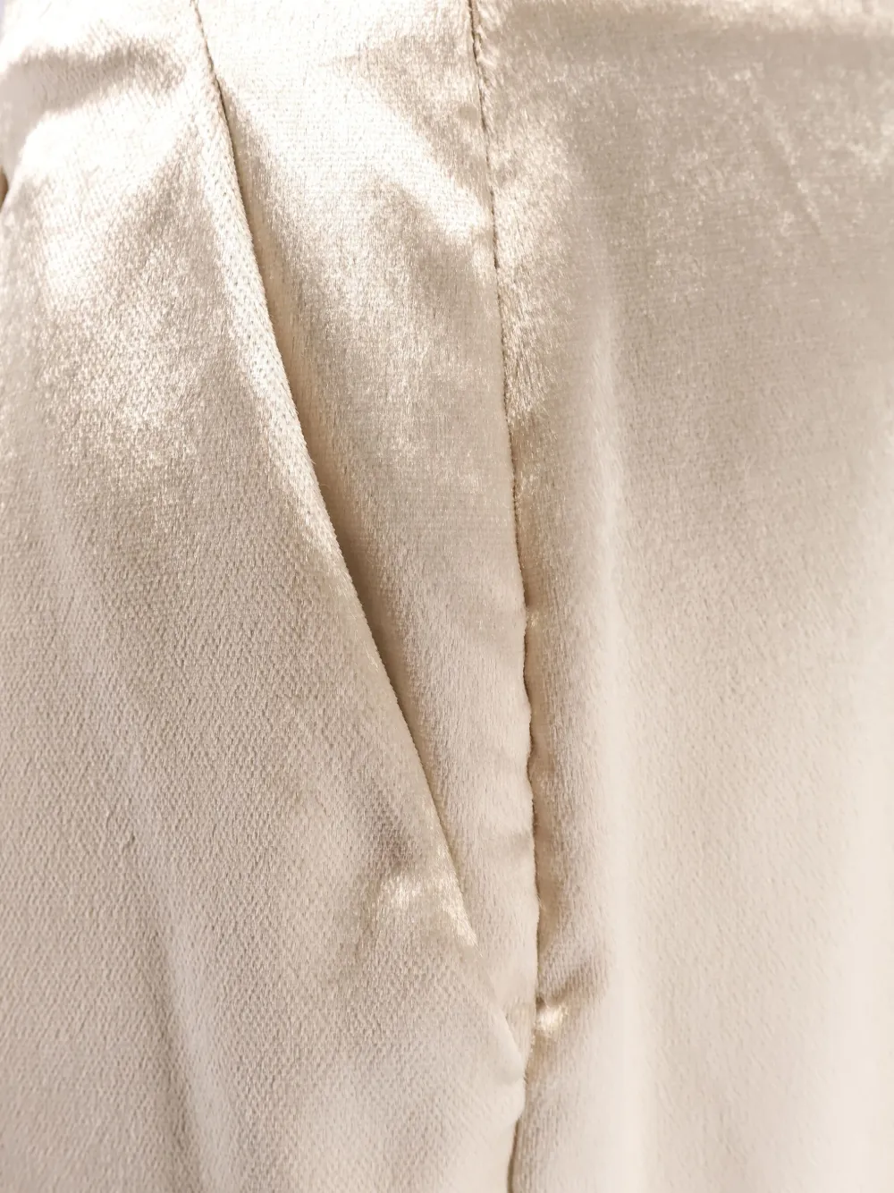 Alberta Ferretti Pinces broek Beige