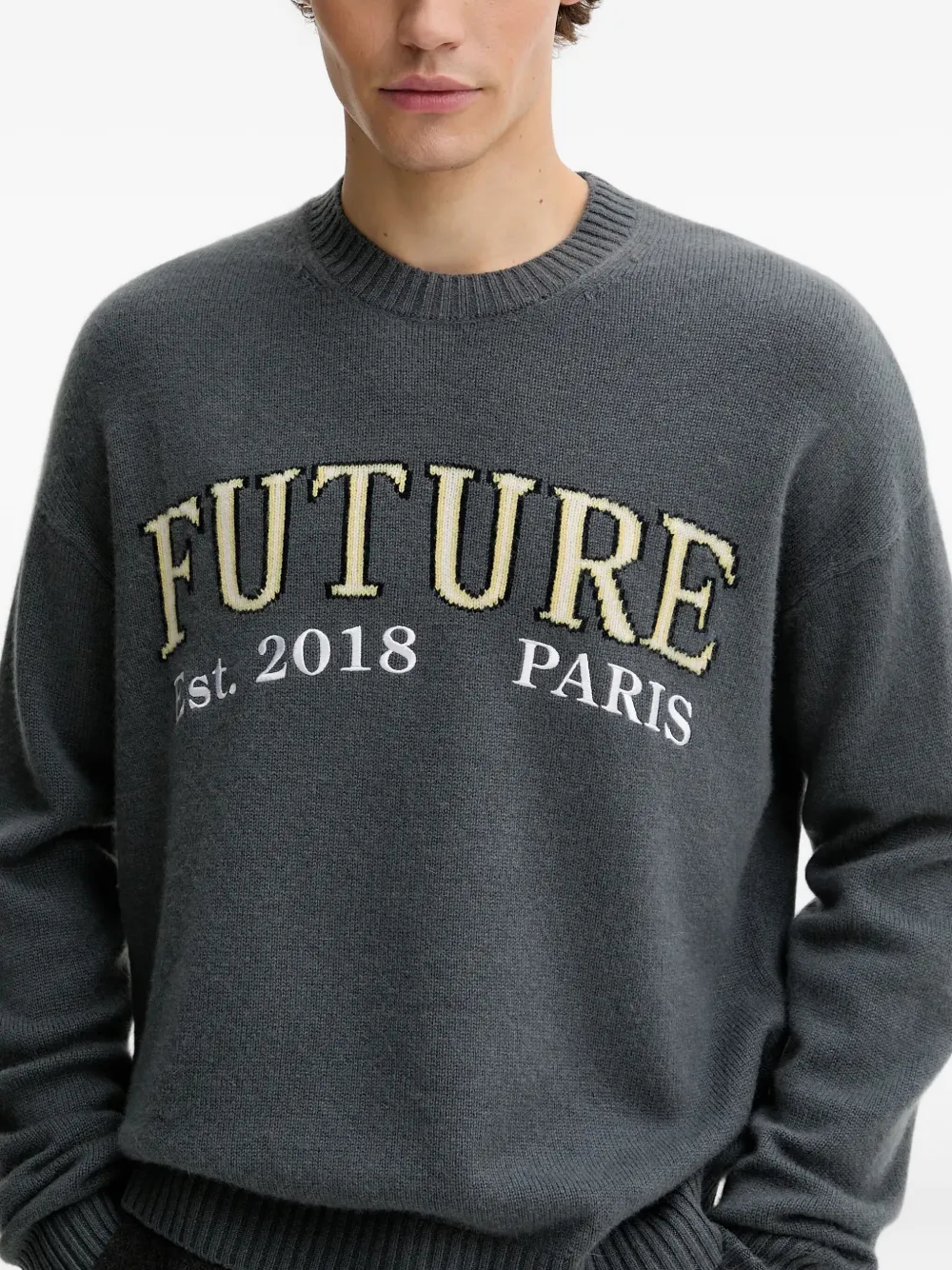 From Future Embroidered-logo Crew Neck Sweater In Gray