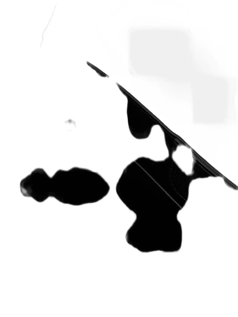 Guess Usa Meridian Ii Shoulder Bag In Black