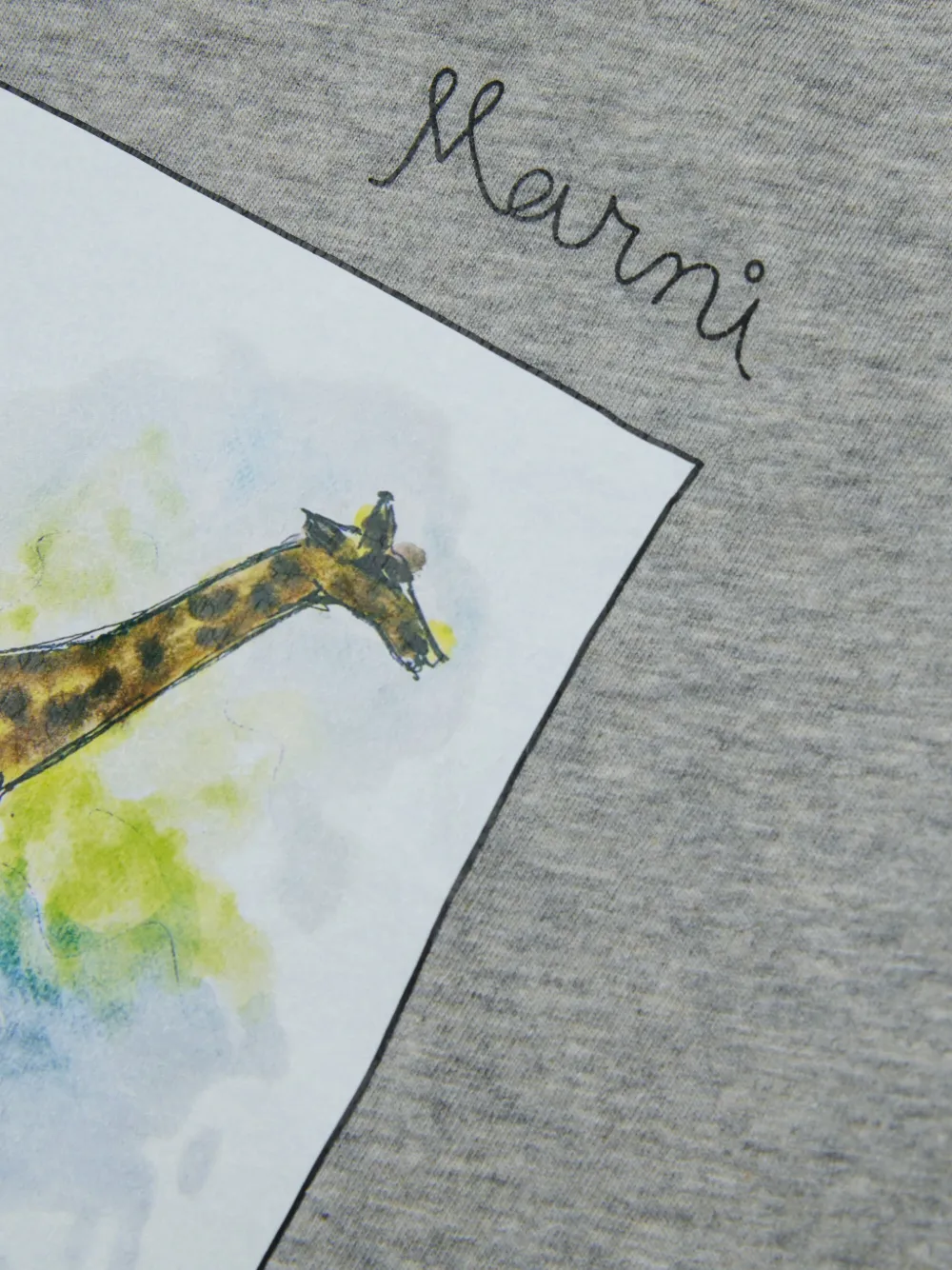 Giraffe-Graphic T-Shirt