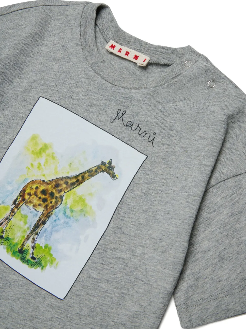 Giraffe-Graphic T-Shirt