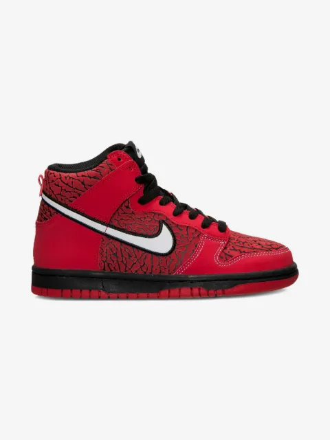 Nike Kids tenis Dunk High GS