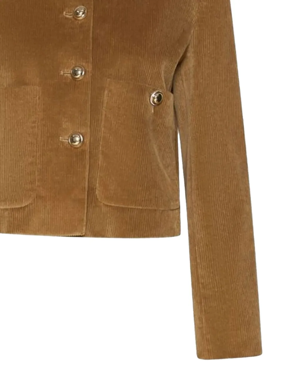 Marella Buttoned Jacket In Brown