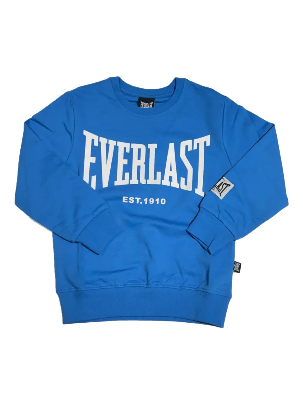 Everlast Logo-print Sweatshirt In Blue