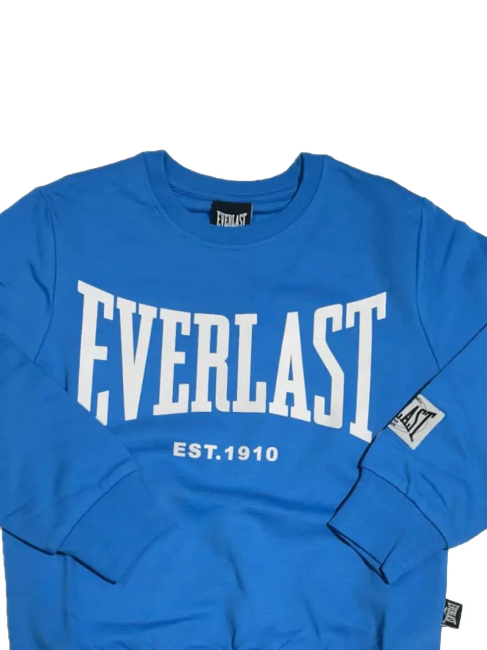 Everlast Logo-print Sweatshirt In Blue