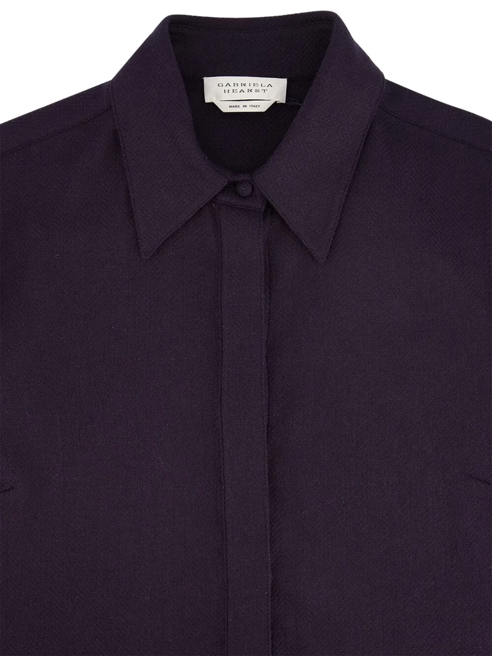Gabriela Hearst Buttoned Long-sleeve Shirt In Purple