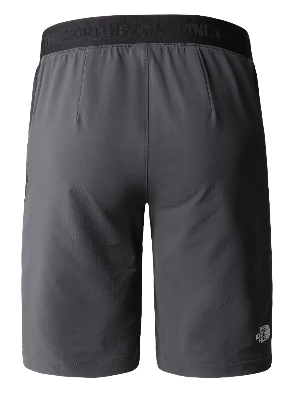 The North Face Circadian Alpine elasticated shorts - Zwart