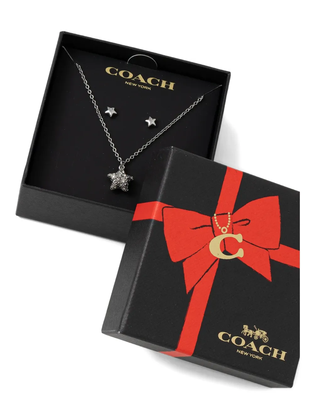 Coach Star-charm Necklace And Earrings Set In Metallic
