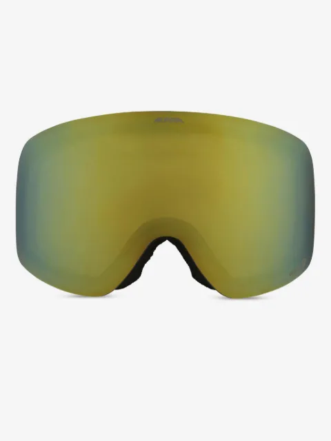 Alpina Óculos de ski Penken Q