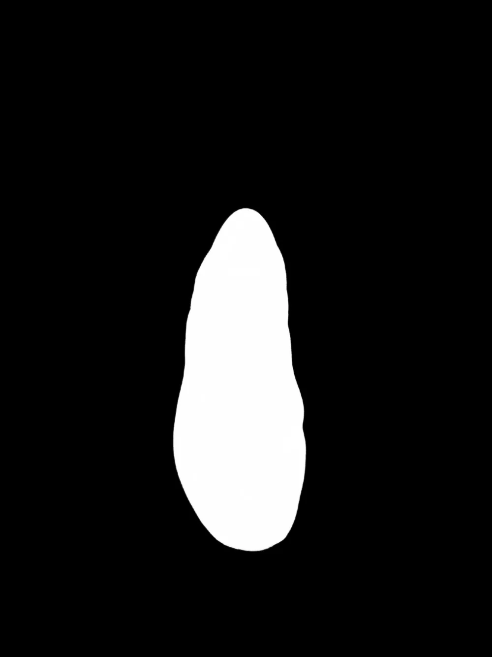 Dove Nuotano Gli Squali Becky Embellishment Ballet Flats In Animal Print