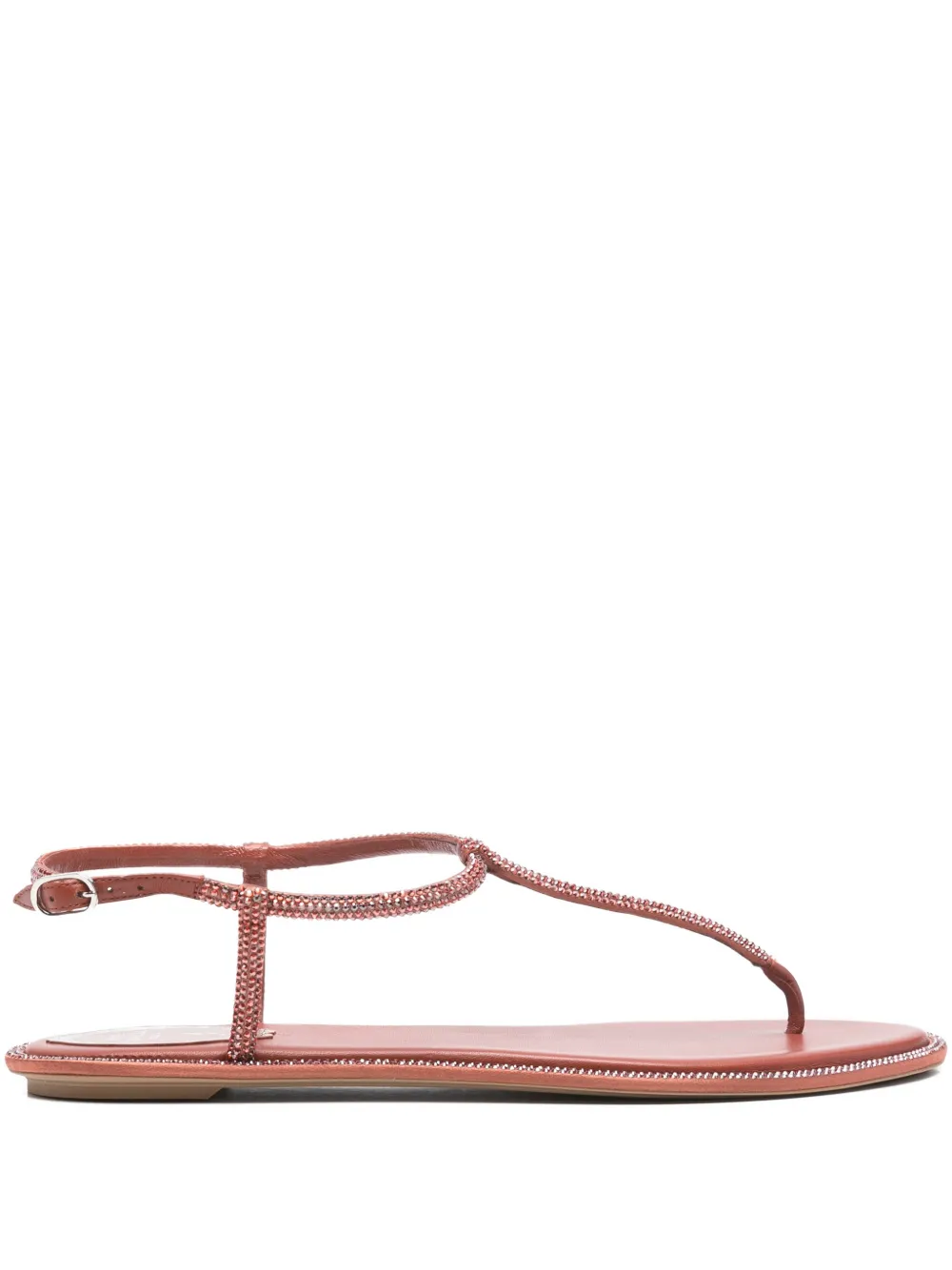 René Caovilla Diana Embellished T-strap Sandals In Pink