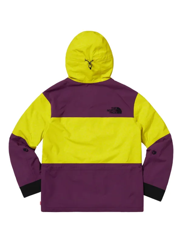 Supreme x The North Face Expedition Expedition removable-hood