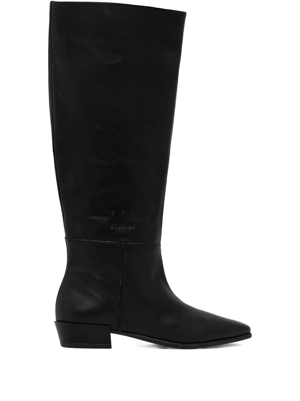 Copenhagen Pointed-toe Knee-high Boots In Multi