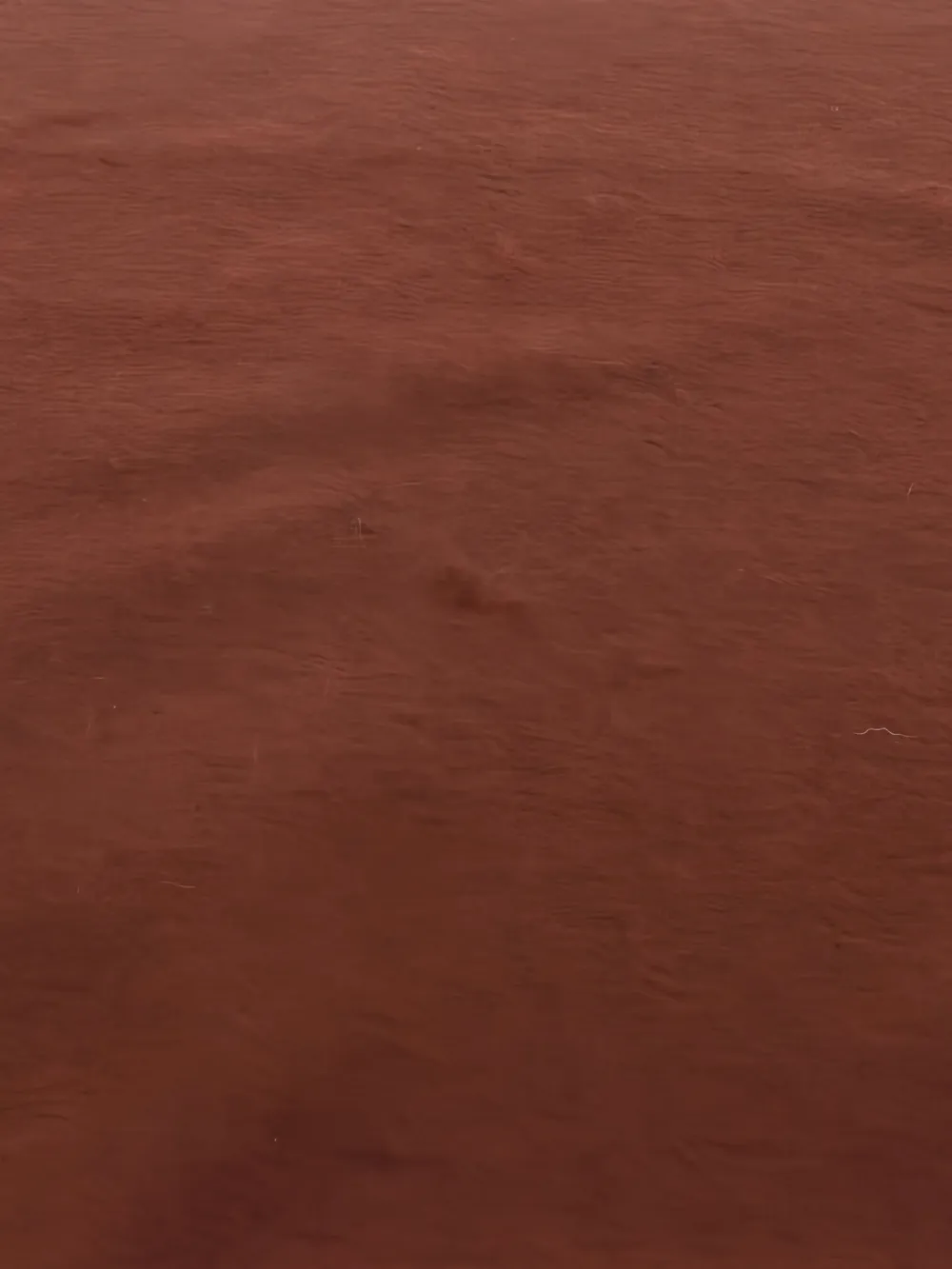 Hermès Pre-Owned mascada de cachemira con flecos 2020 | Hombre | Image 2