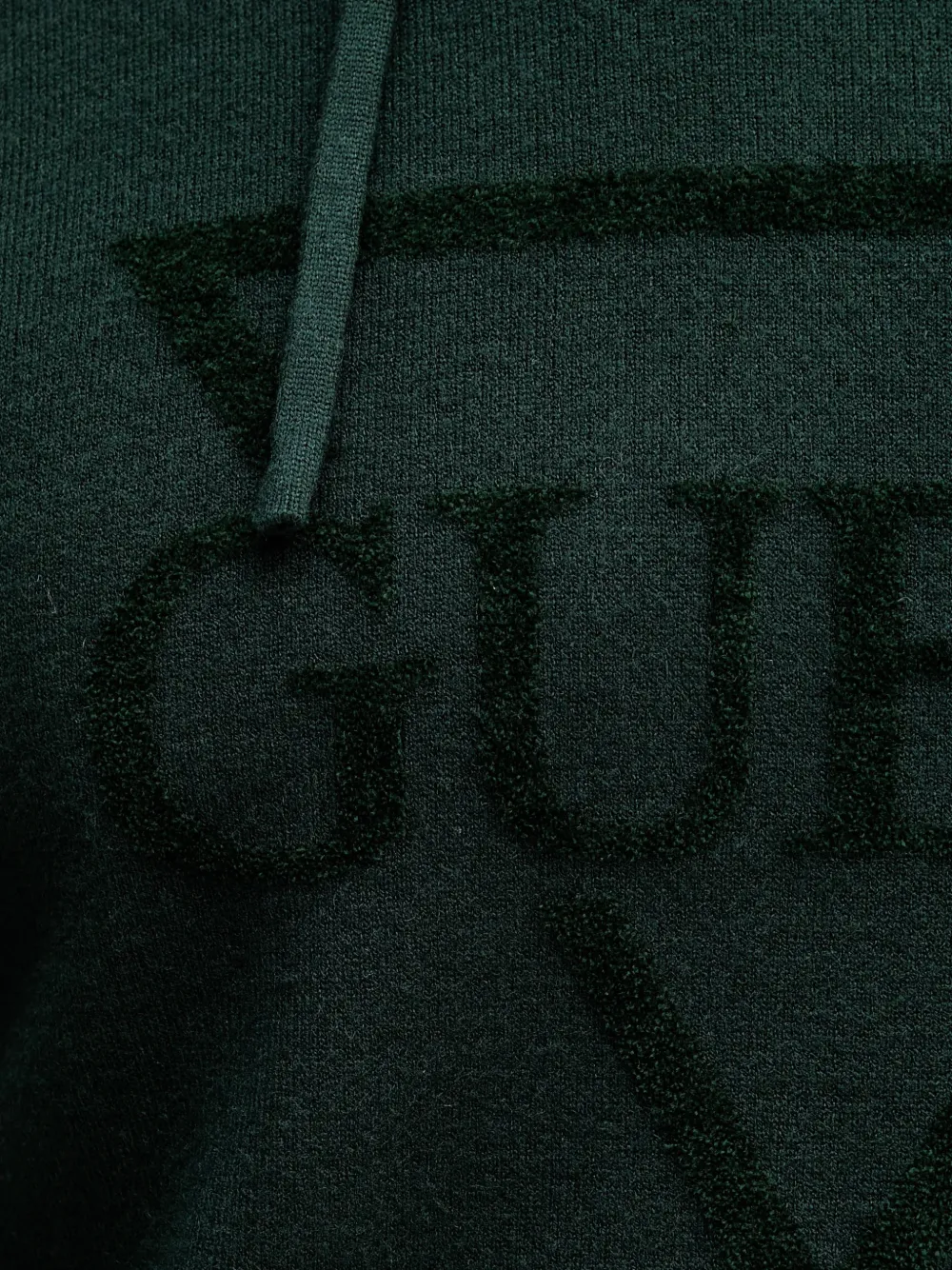 GUESS USA Trui met capuchon Groen